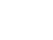 bridgedet